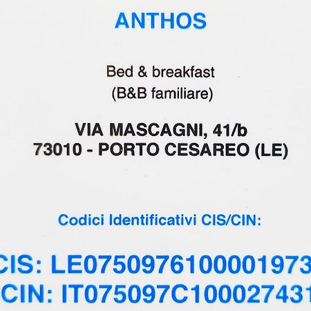 Bed Anthos Porto Cesareo Bed & Breakfast エクステリア 写真